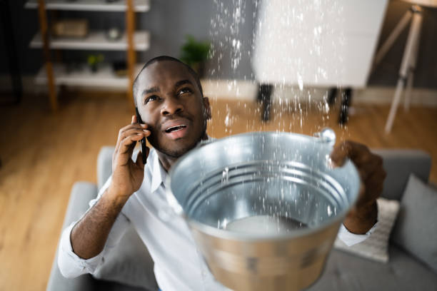 Best Mold removal after water damage  in Los Alamos, CA
