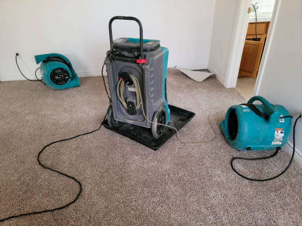 Best Sewage cleanup and water damage restoration  in Los Alamos, CA