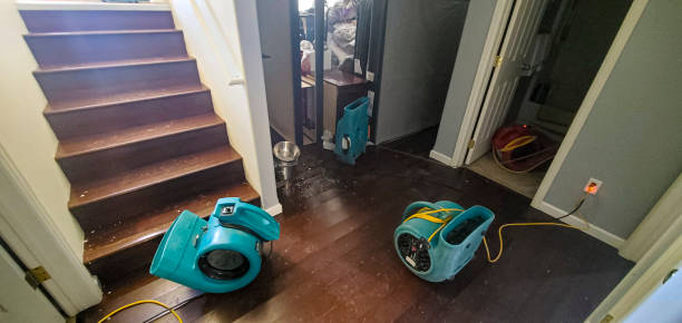 Best Local water damage restoration  in Los Alamos, CA