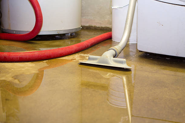 Best Flood damage cleanup  in Los Alamos, CA